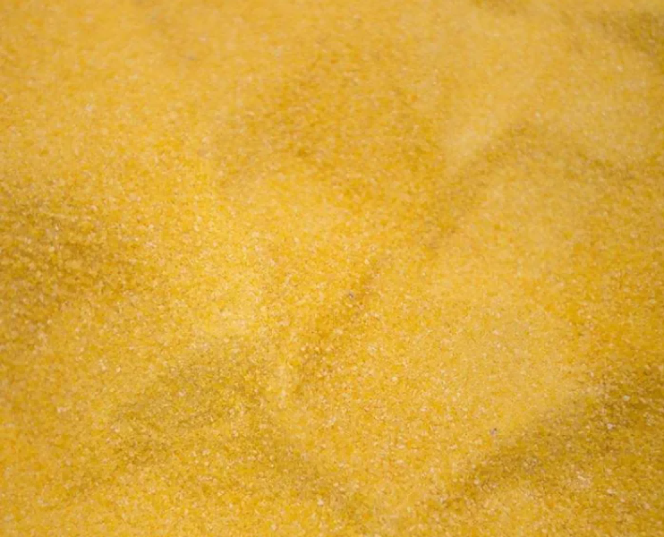 九洲杂粮|被称为“黄金作物”的玉米糁子(图1)