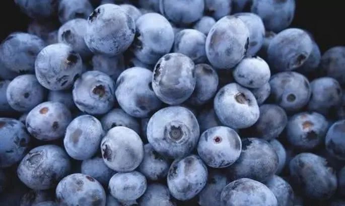 都乐蓝莓丨每一颗都是自然的馈赠(图6)