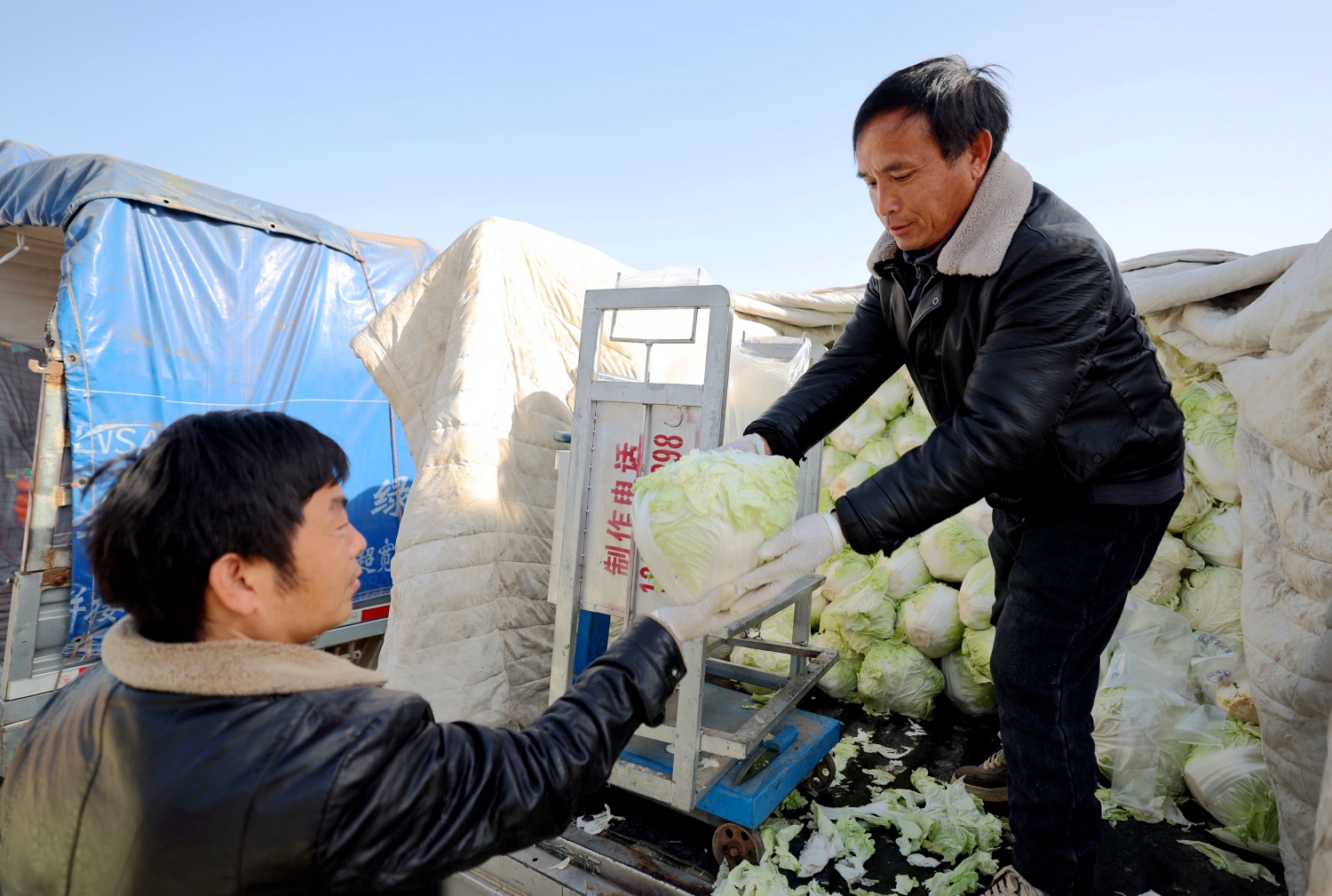 河南日报客户端报道：万邦：保障市场供应 稳住节日“菜篮子”(图7)